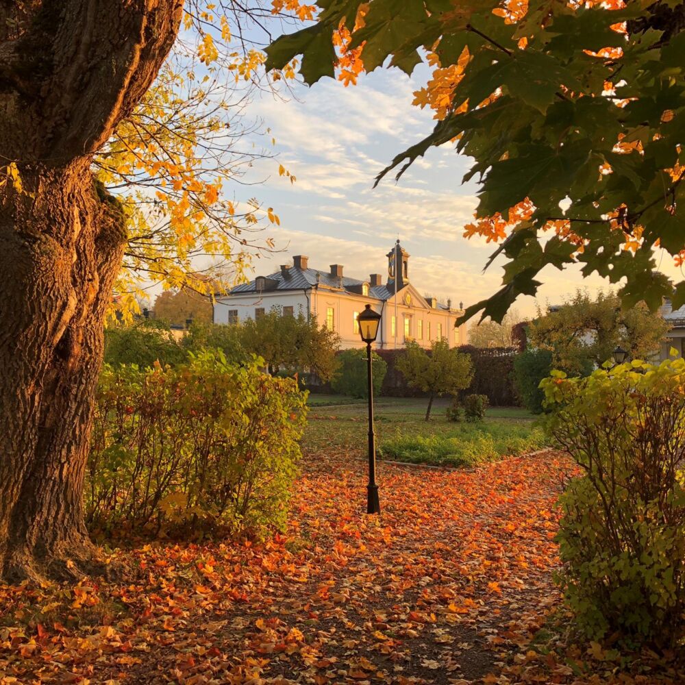 312664352_598769198638360_6491143631006630047_n