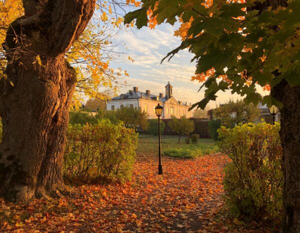 312664352_598769198638360_6491143631006630047_n