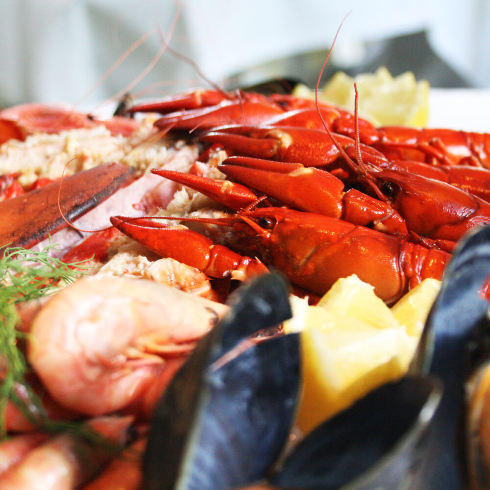 Skaldjursplatå på Gimo Herrgård, nära Uppsala, Gävle och Stockholm.